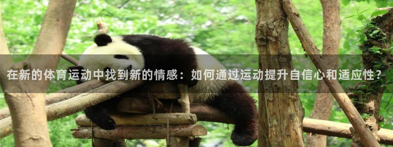 球迷体育app官方版下：在新的体育运动中找到新的情感：如何通过运动提升自信心和适应性？