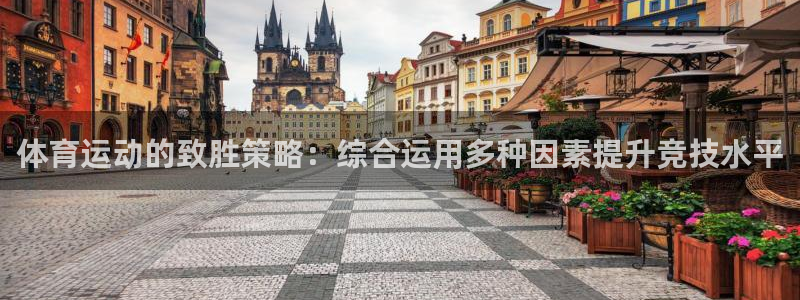 球迷体育怎么买票：体育运动的致胜策略：综合运用多种因素提升竞技水平