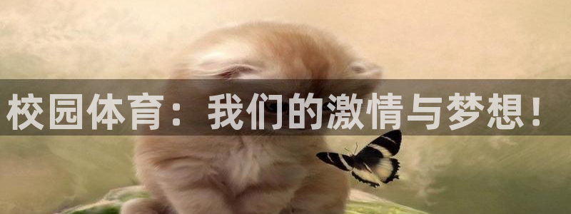 球迷体育app官方版下：校园体育：我们的激情与梦想！