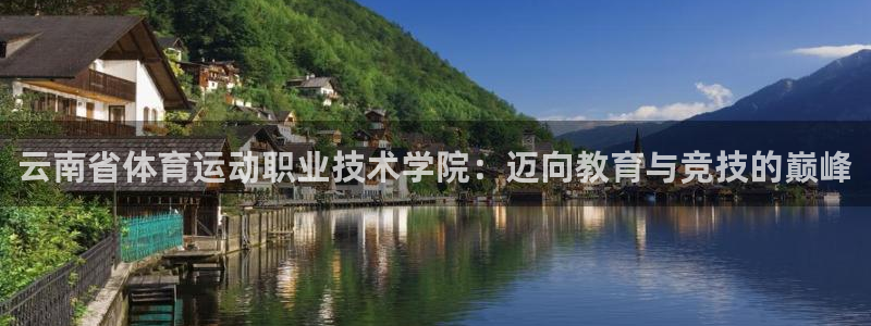 球迷体育的收费方式：云南省体育运动职业技术学院：迈向教育与竞技的巅峰