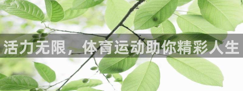 球迷体育官方正版下载：活力无限，体育运动助你精彩人生