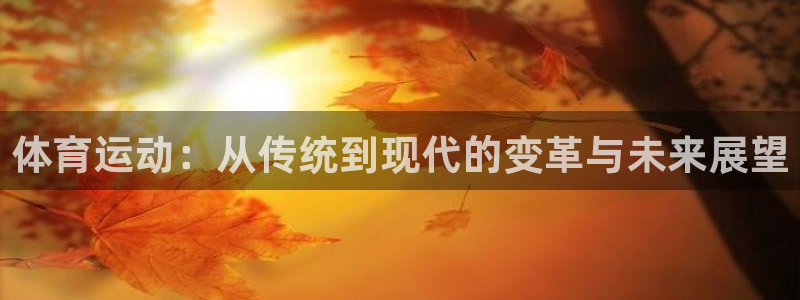 球迷体育软件下载：体育运动：从传统到现代的变革与未来展望