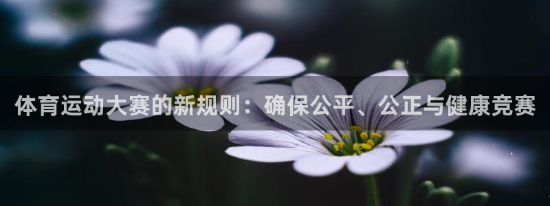 球迷体育下载：体育运动大赛的新规则：确保公平、公正与健康竞赛